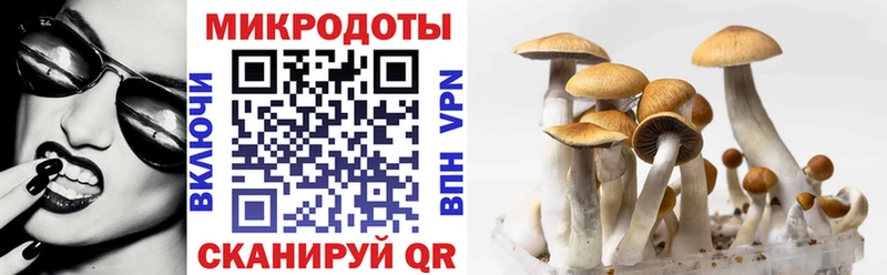 Псилоцибиновые грибы GOLDEN TEACHER  ОМГ ОМГ рабочий сайт  Ртищево 